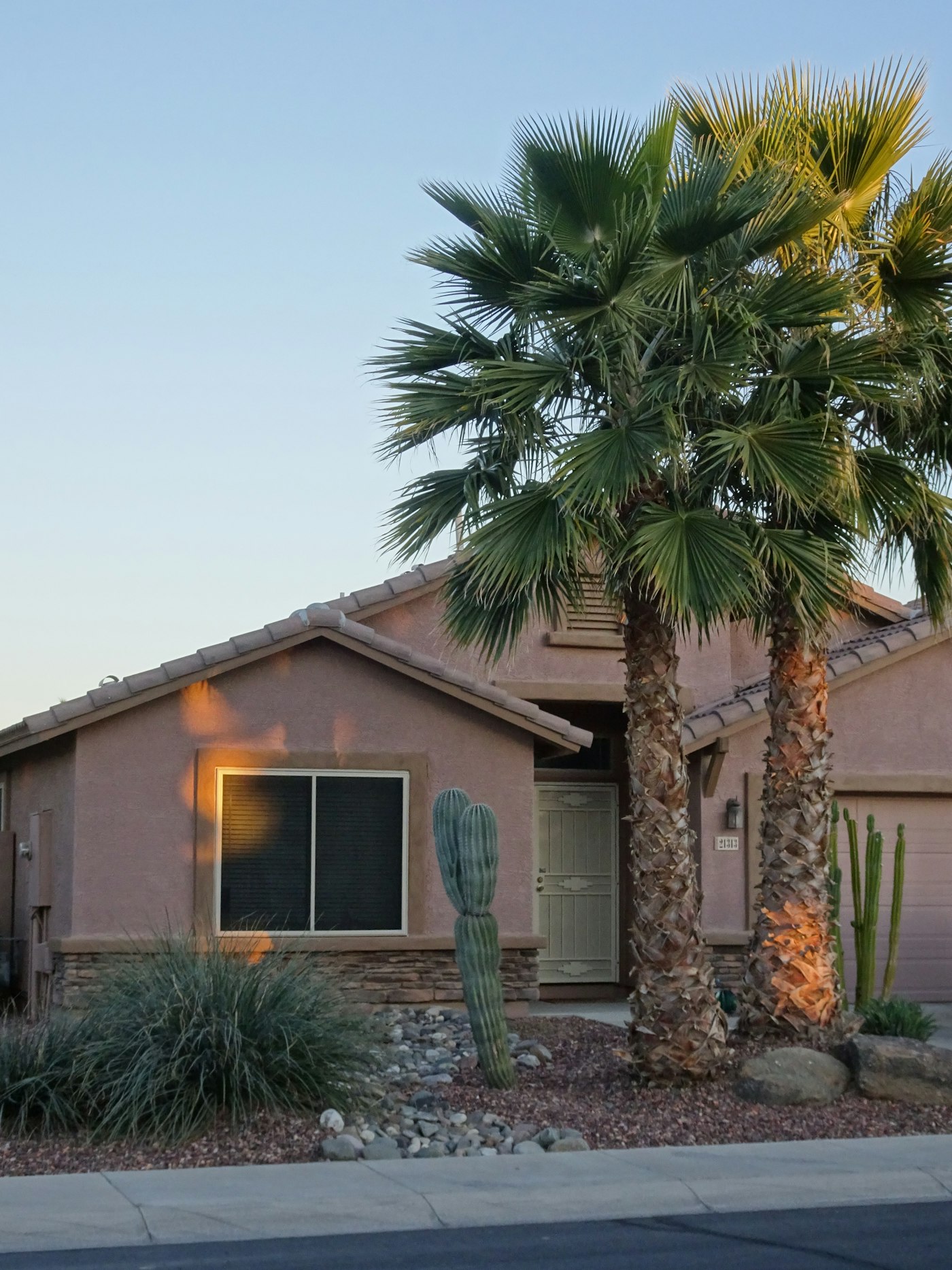 Warm pink stucco house with palms and cacti in the Arizona evening light