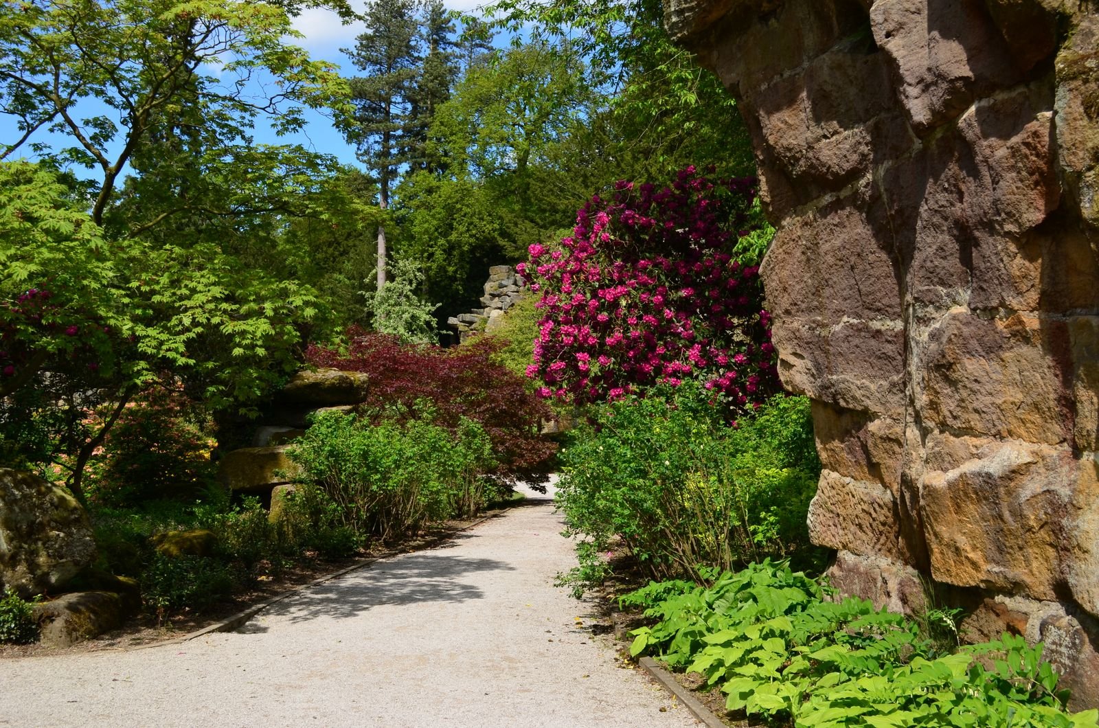 A pale garden path curves between lush trees, pink flowers, shrubs and a rough stone wall.