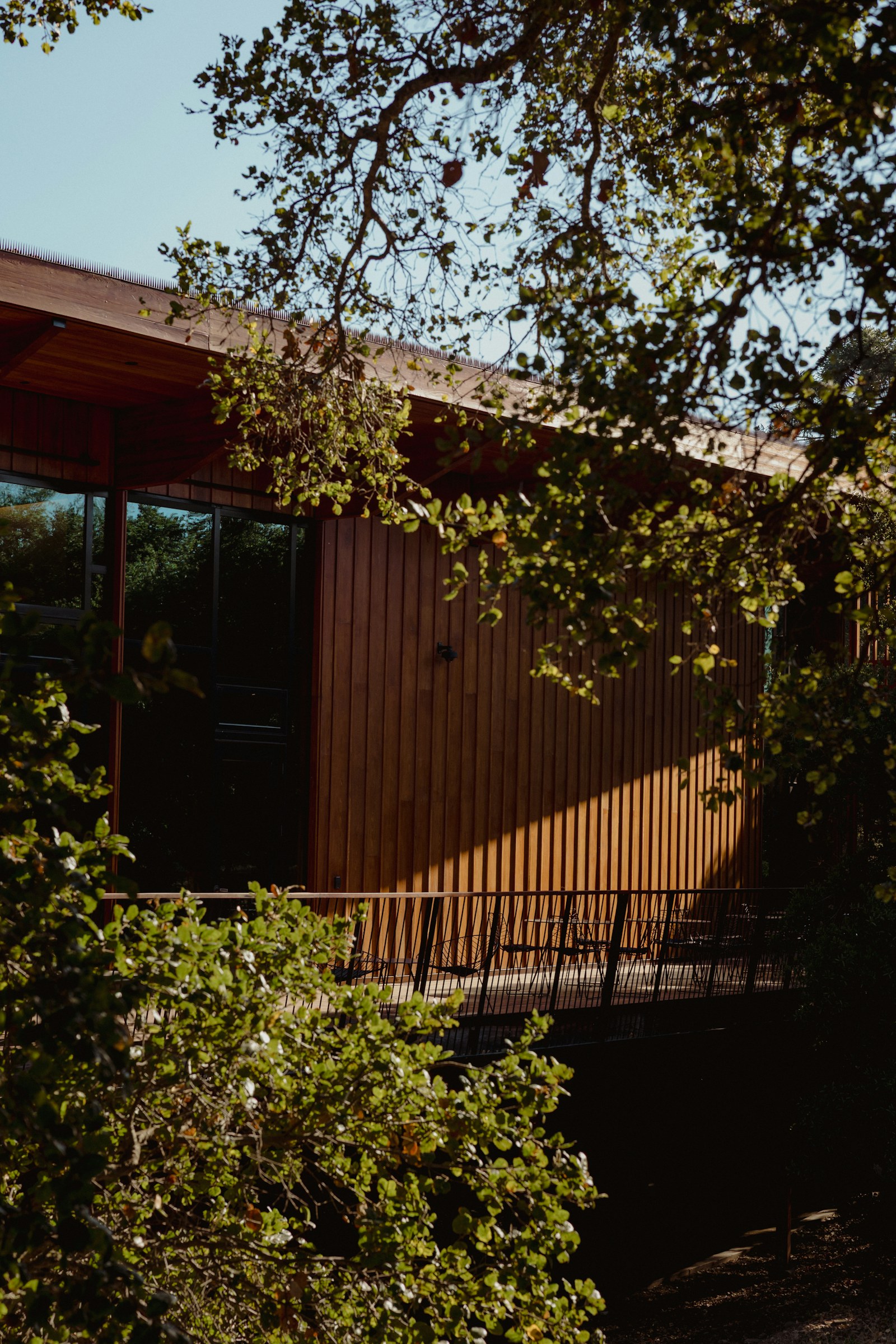 Sunlit wooden retreat framed by leafy green trees
